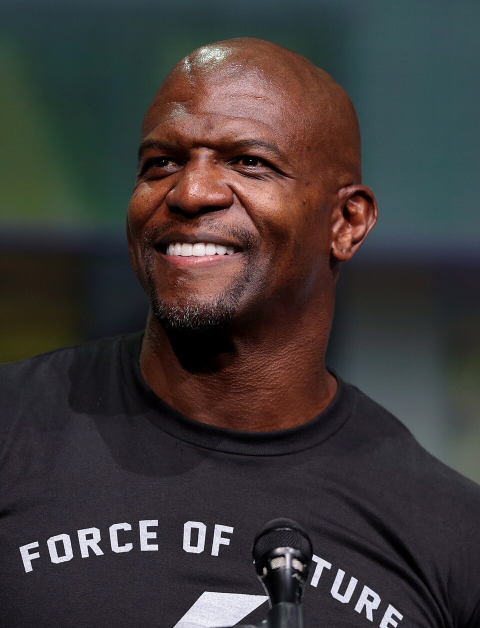 Terry Crews Drew Heidi Klum and the Internet Stopped